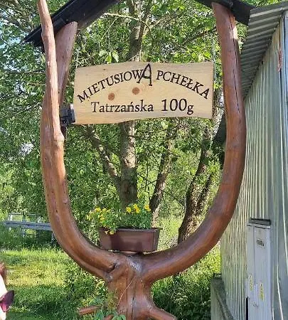 Mietusiowa Pchelka